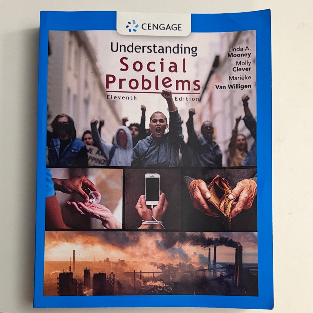 Understanding Social Problems Textbook